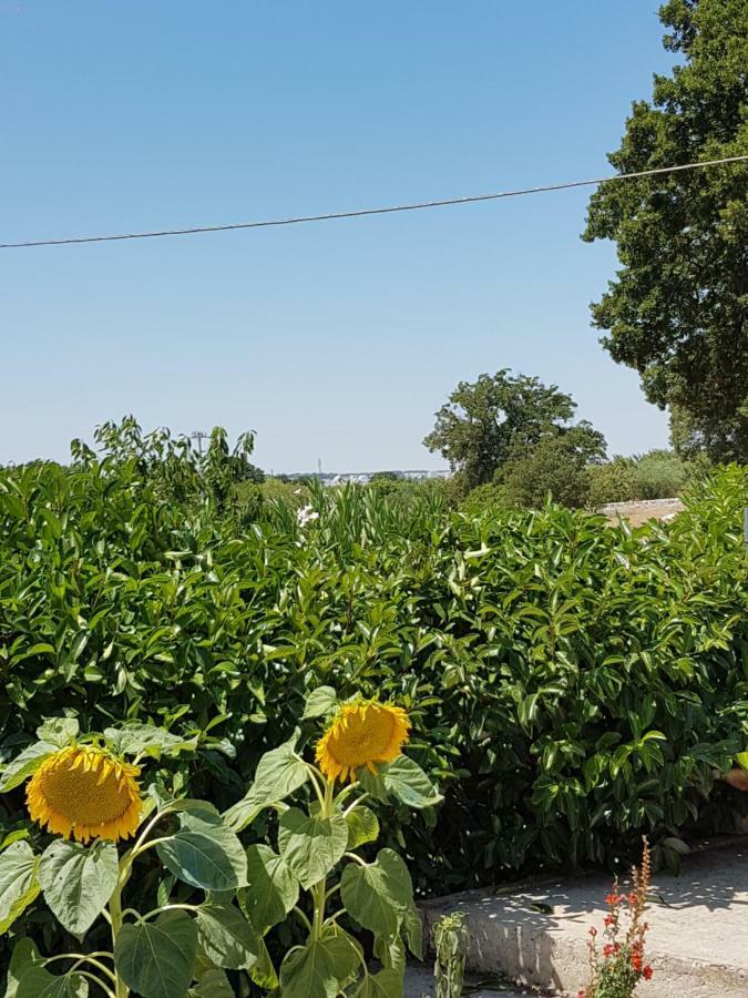 Trulli Della Masseria Staffone Alberobello Ngoại thất bức ảnh